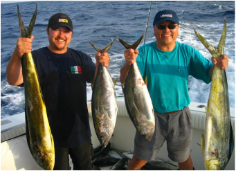 no limits sportfishing trip, tuna and dorado 